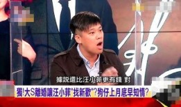 汪小菲爆料照片视频,揭秘背后惊人真相